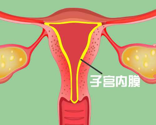 北京的代孕公司,代孕的风险