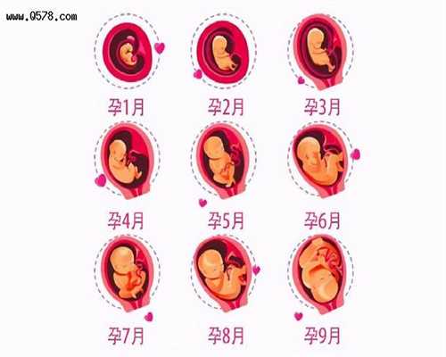 代孕的具体步骤是什么_代孕那里做成功率高_5770.2019年6月17日受孕生男生女 农历