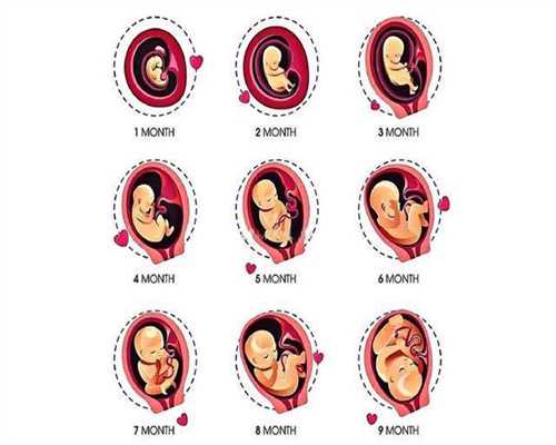 代孕的孩子怎么落户啊_代孕是怎么做_泰国试管婴儿中介怎么选？方法有哪些？