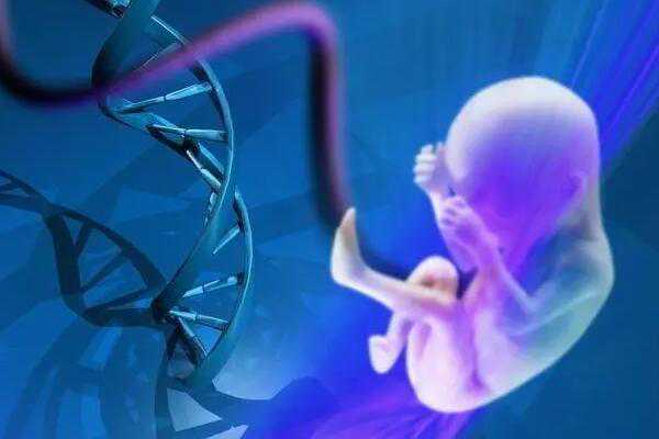 代孕哪家好又便宜_代孕最佳年龄_医院能做试管婴儿吗-染色体异常与胚胎质量分