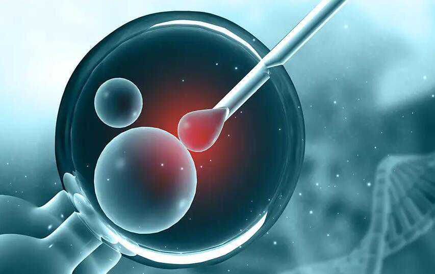 做代孕可以选择性别吗_有代孕成功的吗_泰国试管婴儿移植，如何挑选优质胚胎