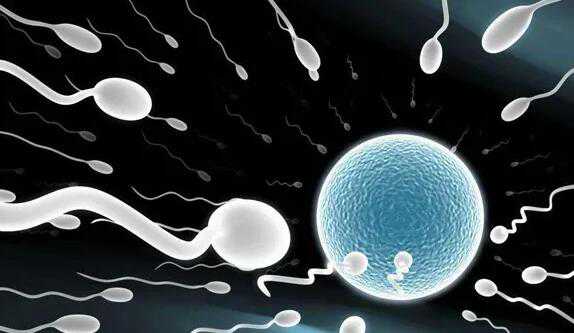 代孕中心哪里有_代孕产子合同_做试管婴儿取卵两次会伤害卵巢吗做试管婴儿取