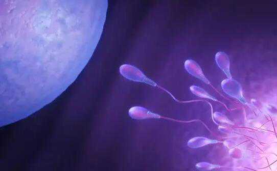 没有子宫可以代孕吗|延安北大医院提供哪些类型的试管技术？,沈阳代孕自选性